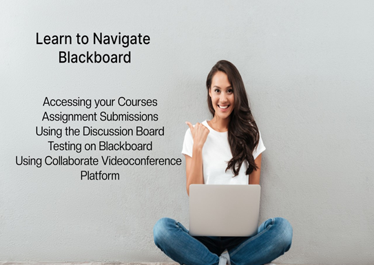 Learn to use Blackboard