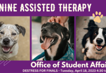 Canine Therapy on Campus