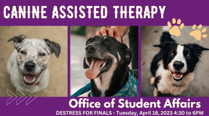 Canine Therapy on Campus