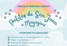 La Asociación Estudiantil Vínculo Humano Animal les invita: