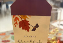 Thanksgiving lunch celebration