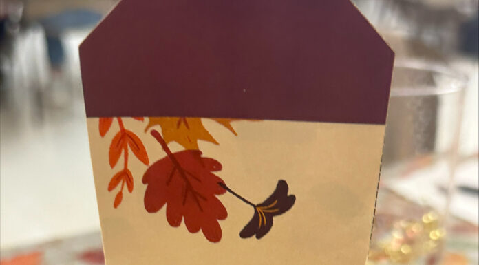 Thanksgiving lunch celebration