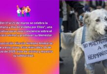 Asociación Estudiantil Vínculo Humano Animal informa: