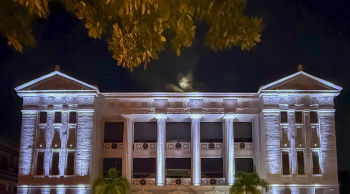 Revista desde Adentro 14va Edición